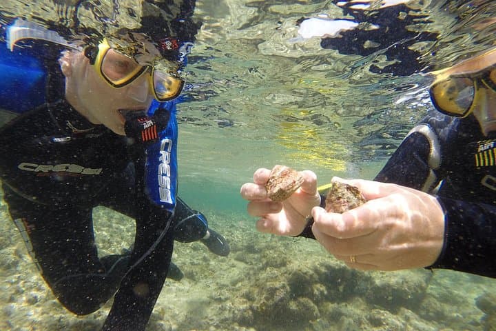 Get Wet Snorkeling Tour to Isla de Lobos from Corralejo