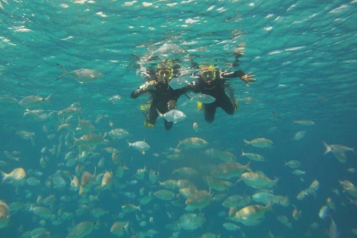 Get Wet Snorkeling Tour to Isla de Lobos from Corralejo