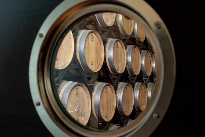 Private tour and wine tasting in Aranda de Duero