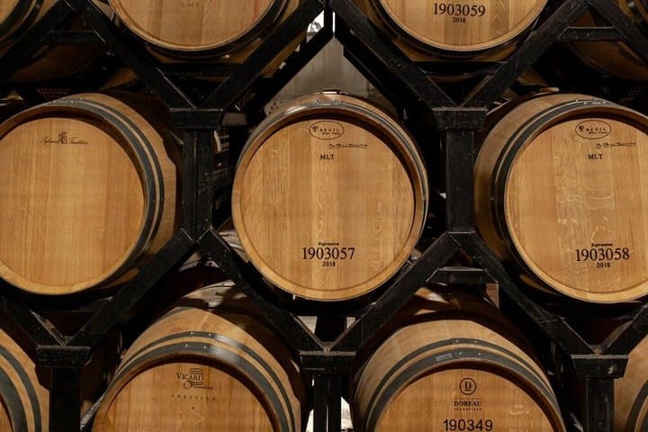 Private tour and wine tasting in Aranda de Duero