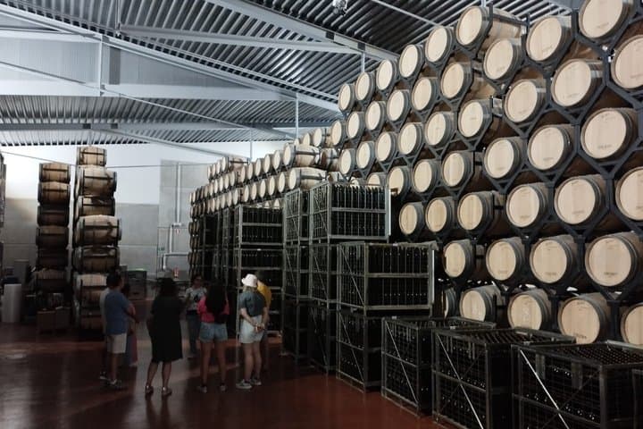 Wine Tasting Tour in Aranda de Duero