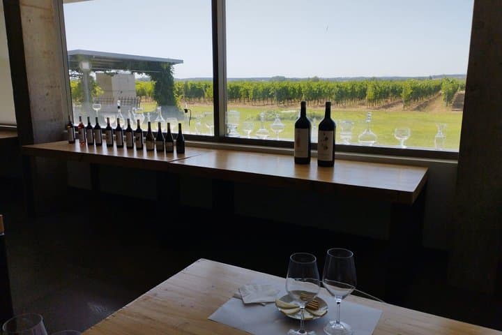 Wine Tasting Tour in Aranda de Duero