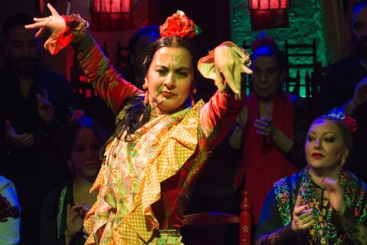 Flamenco and Andalusian Dinner Show in the Caves of Granada