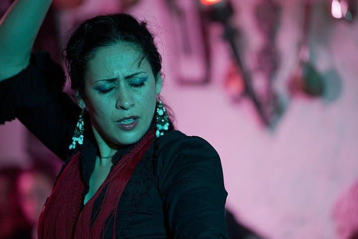 Flamenco and Andalusian Dinner Show in the Caves of Granada