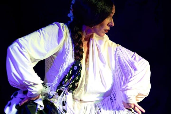 Flamenco Show at Palacio Granada