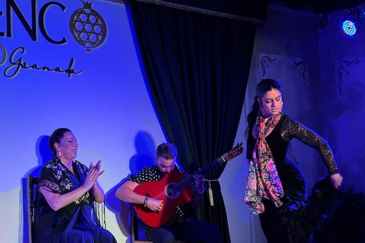 Flamenco Show at Palacio Granada