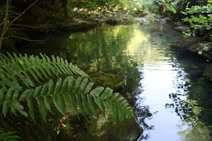 Private Basque Valley Experience with Nature and Local Flavors