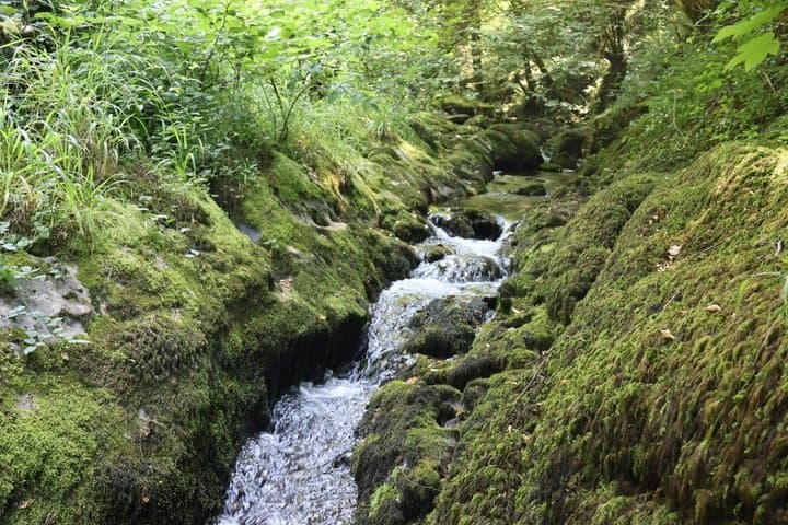 Private Basque Valley Experience with Nature and Local Flavors