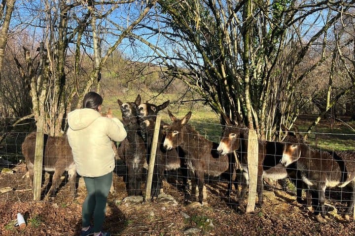 Private Basque Valley Experience with Nature and Local Flavors