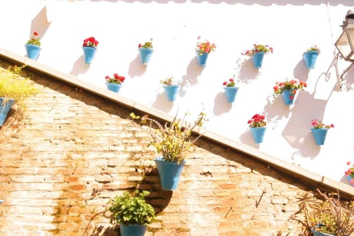 Walk through the Essence of Cordoba