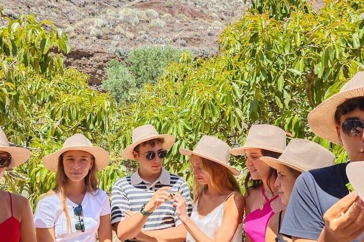Authentic Avocado Farm Tour Local Food Experience in Santa Cruz