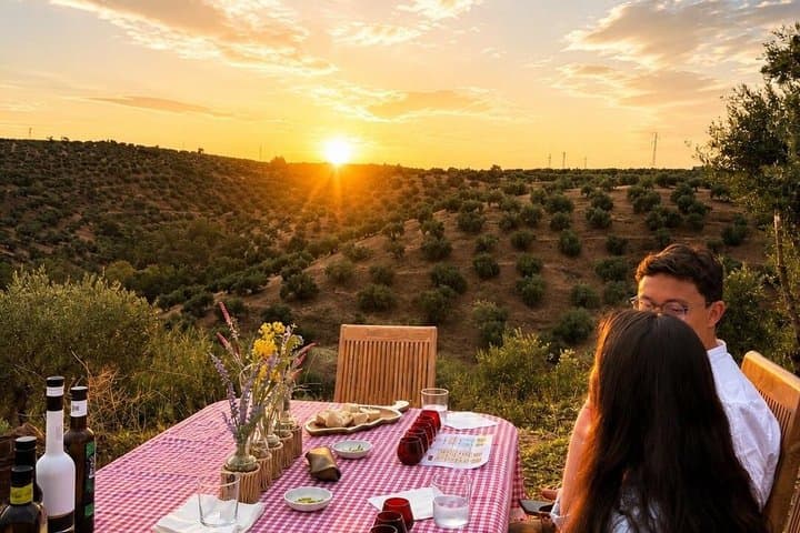 Exclusive Tasting of Olive Oil and Paella in Family Estate