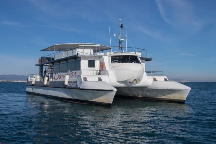 Catamaran Tour with Food at Sea and Bath from Valencia