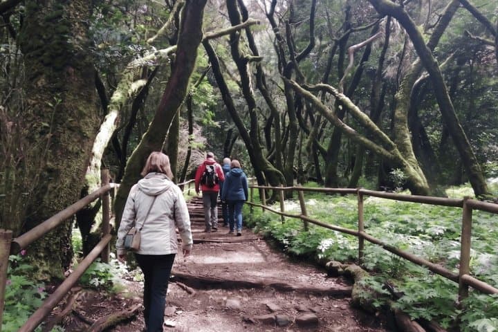 La Gomera Full Day Tour from Tenerife with ferry and lunch