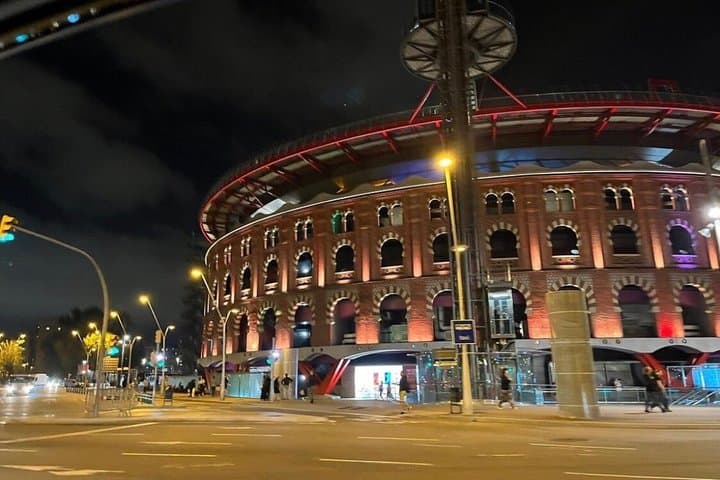 Private Sightseeing in Barcelona By Night