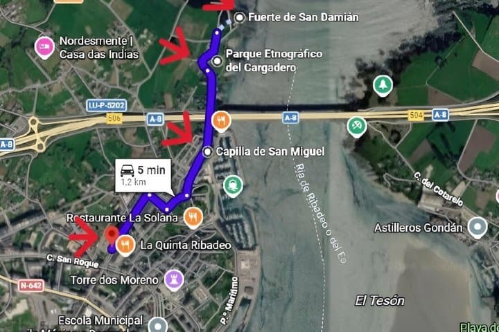 Guided bird watching tour and Urban nature in Ribadeo