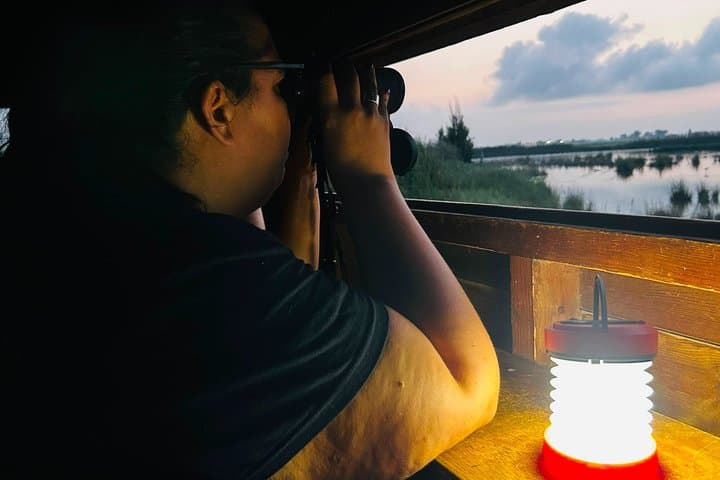 Explore the Night Secrets of the Ebro Delta