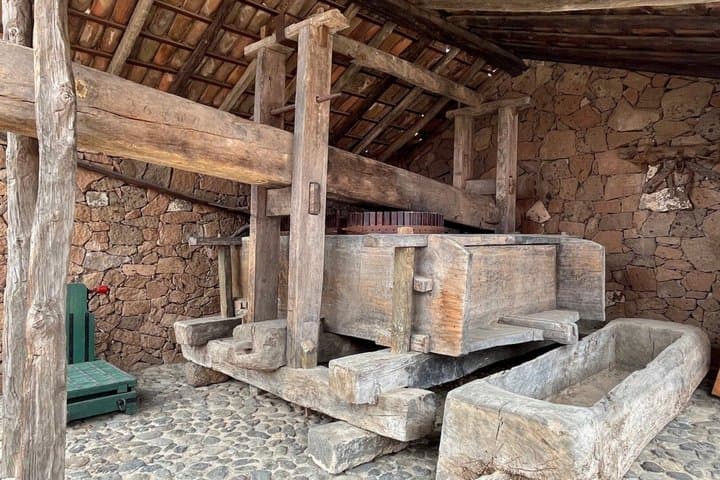 Canary Islands Wine and Banana Plantation Tour Tenerife