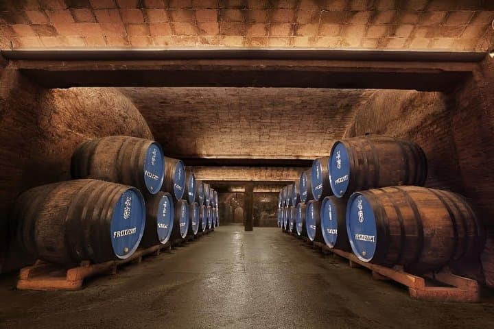 Customizable Wineries Tour Penedes and Priorat