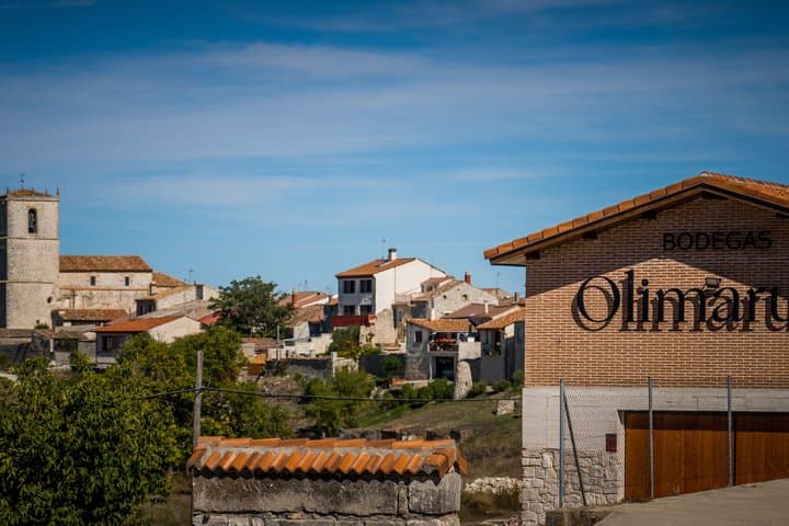 Bodegas Olimarum Winery Premium Wine Tasting