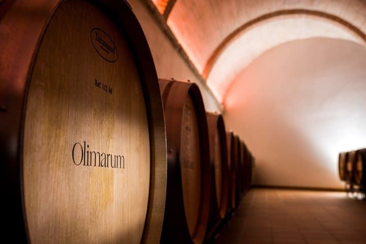 Bodegas Olimarum Winery Premium Wine Tasting