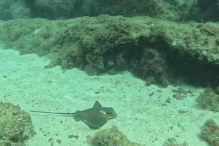 Playa Blanca Scuba Diving for Beginners with Free Videos