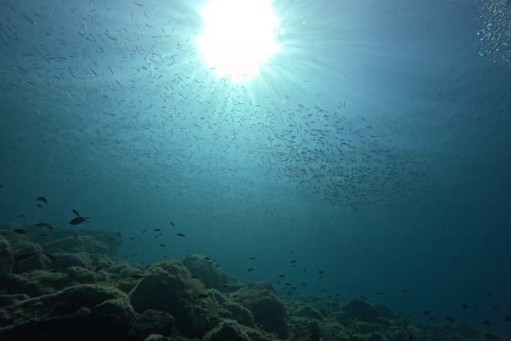 Playa Blanca Discover Scuba Diving at Flamingo Beach free videos