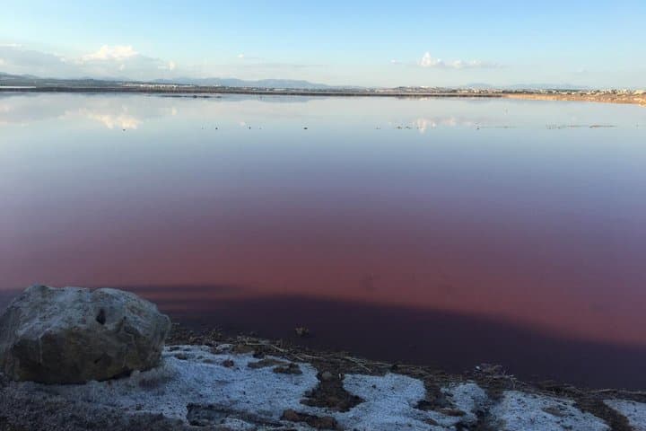 Sunset with Cava in the Pink Lagoon of Torrevieja