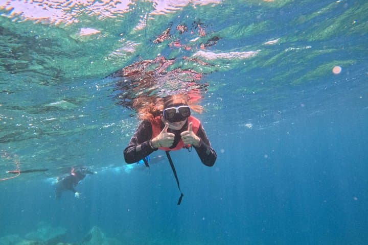 Playa Blanca Snorkeling Experience with Transportation