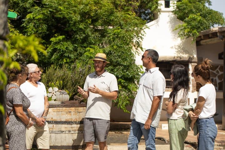 Three Wineries Tour