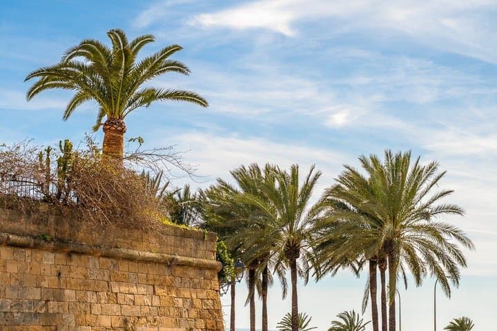 Palma de Mallorca Sunset Bicycle Tour
