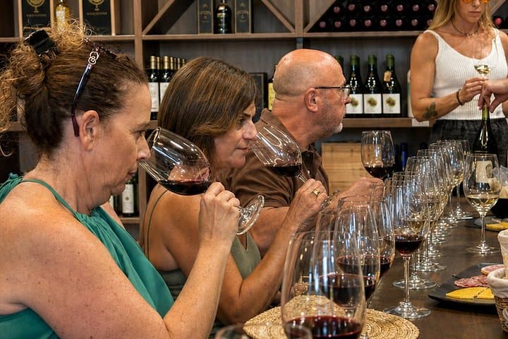 Málaga Andalusian Wine Tasting: 5 Wines and Local Food