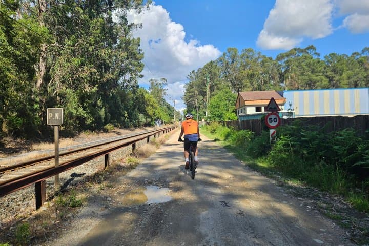 Tui Cerveira Experience ebike along the banks of the Minho River
