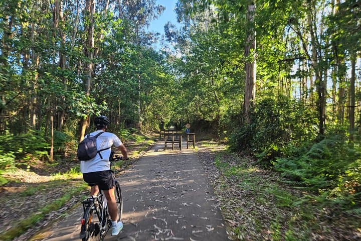 Tui Cerveira Experience ebike along the banks of the Minho River