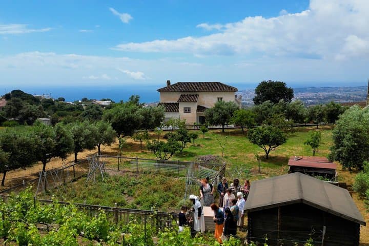 Near Malaga: Mijas Organic Vineyard, 5 Wines, 2 Oils & Tapas