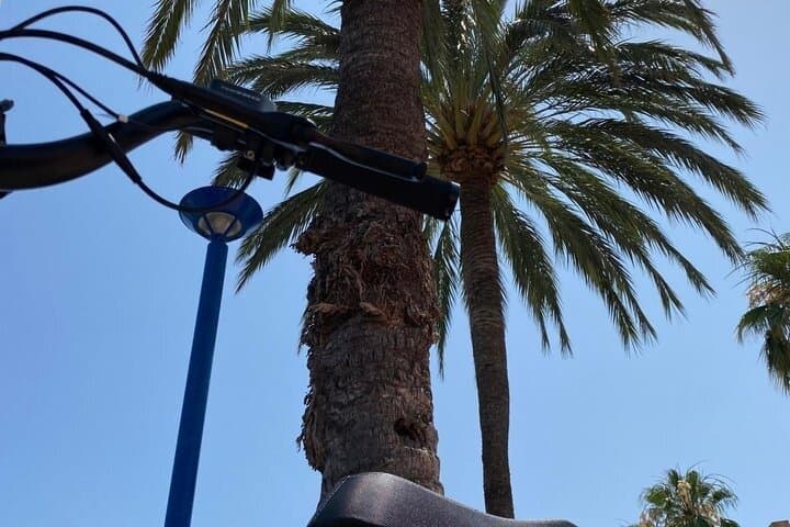 Electric Bicycle Rental in Mallorca
