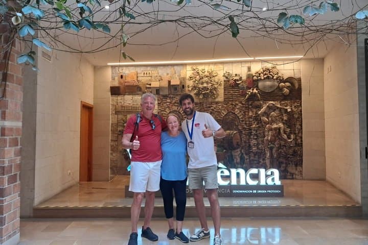 Wine tasting with 3 Valencia wines in the Valencia Wine Control Council