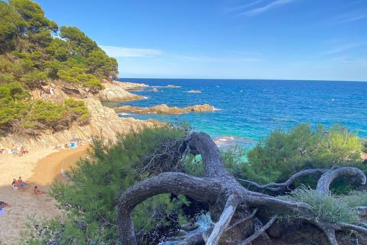Traditional Boat Tour : Adventure on the Costa Brava