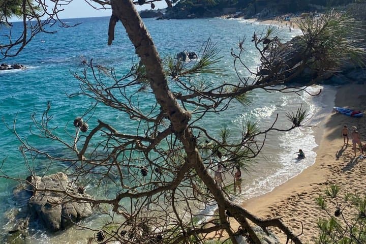 Traditional Boat Tour : Adventure on the Costa Brava