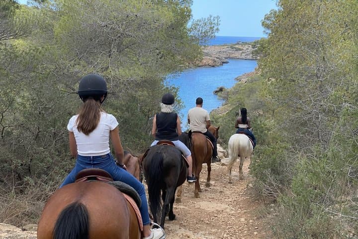 Menorca Horseback Ride to Secluded Cala Fustam Beach & Swim