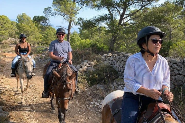Menorca Horseback Ride to Secluded Cala Fustam Beach & Swim