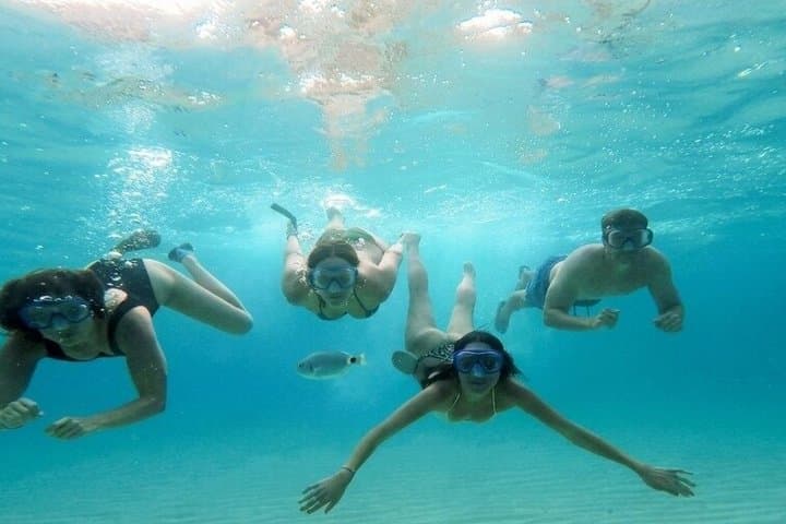 Best Beach Tours Mallorca. The Happy Vans.