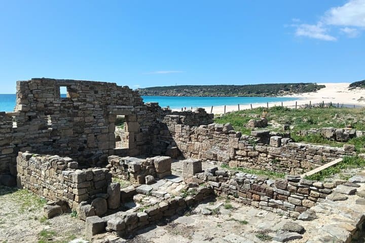 Tarifa, Cadiz : Baelo Claudia experience, tour and Roman food