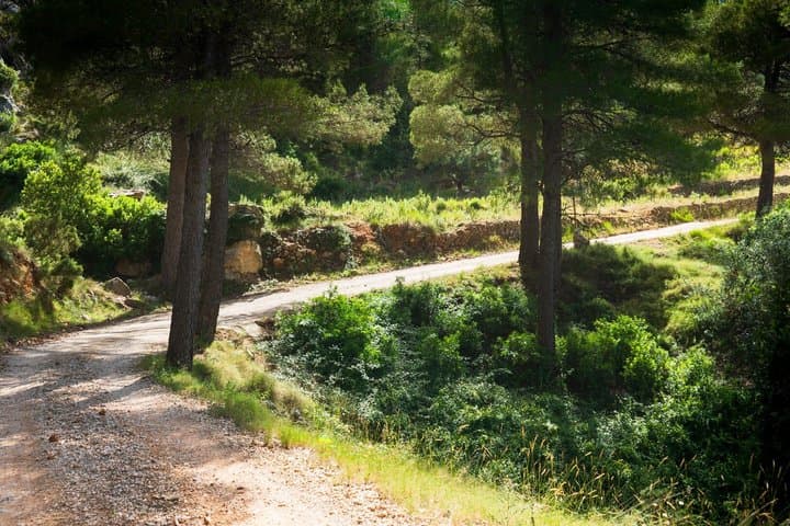 Mountains and vineyards in 2CV, from Moraira to Tarbena Private Tour
