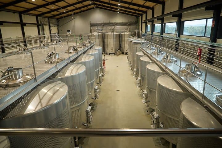 Visit and Tasting of Ribera del Duero Exclusive Winery in a Forest