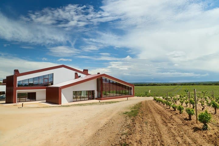 Visit and Tasting of Ribera del Duero Exclusive Winery in a Forest