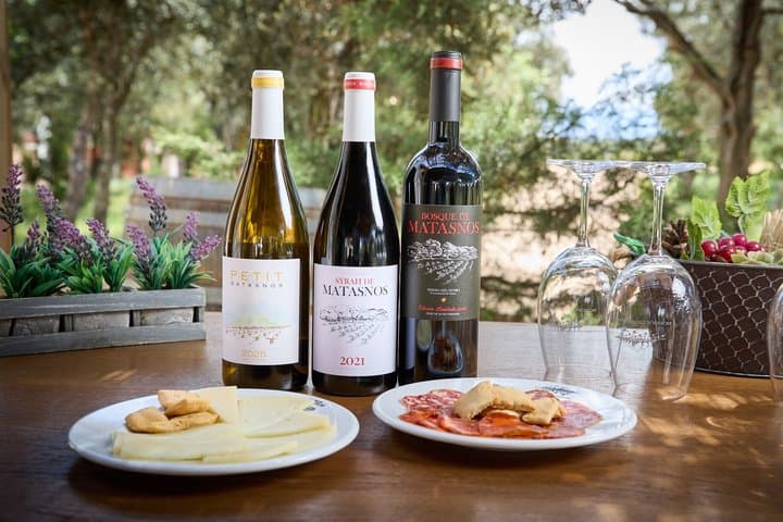 Visit and Tasting of Ribera del Duero Exclusive Winery in a Forest