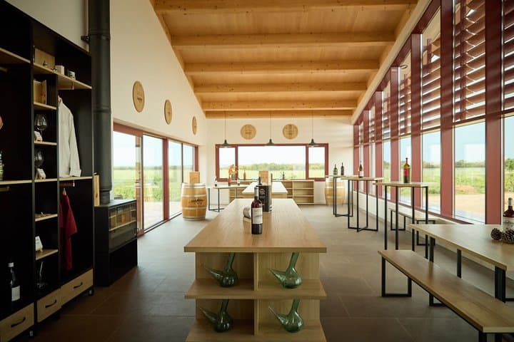 Picnic Experience in the Forest Winery Visit