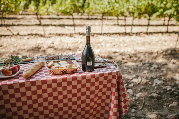 Customizable Wineries Tour Penedes and Priorat