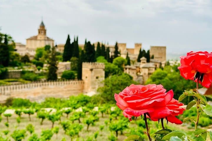 Alhambra Palace and Generalife Gardens Guided Walking Tour